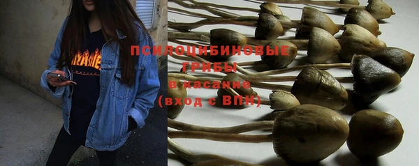 мдма Гусев