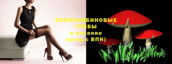 дмт Ельня