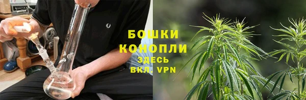 эйфоретик Дмитриев