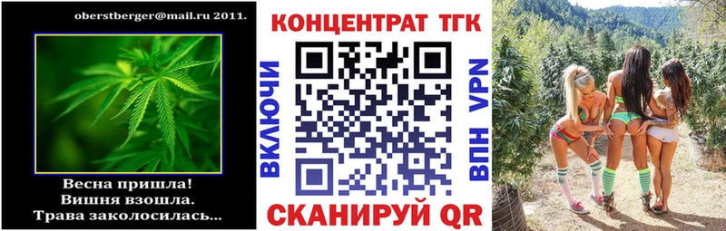 Купить где  Ладушкин  ТГК концентрат 