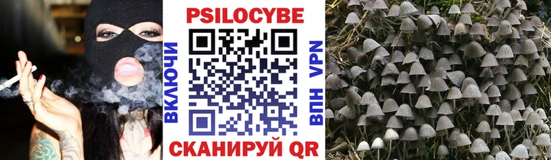 Купить  Ладушкин  Псилоцибиновые грибы ЛСД 