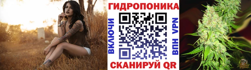 Купить закладки  Ладушкин  Бошки марихуана конопля 